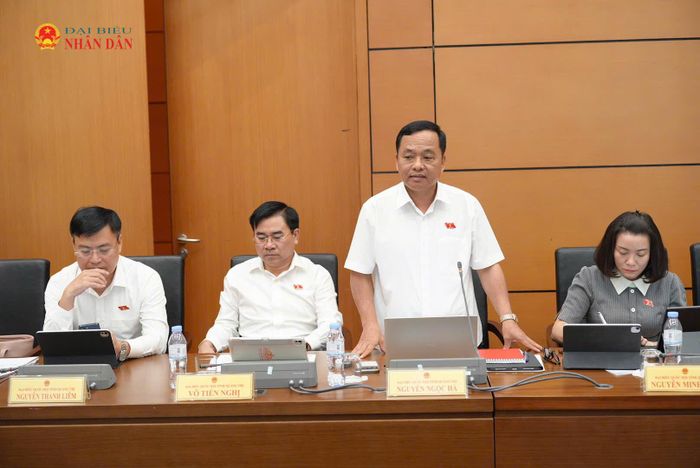 ĐBQH Nguyễn Ngọc Hà (Quảng Trị) phát biểu thảo luận tại Tổ 4. Ảnh: Lâm Hiển