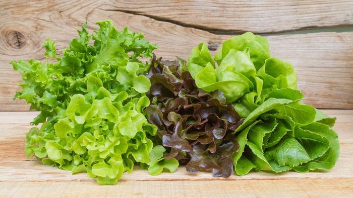 Bổ sung rau lá xanh đậm mỗi ngày góp phần duy trì trí nhớ