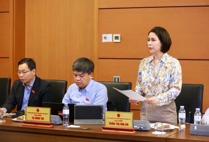 Đại biểu Quốc hội Trần Thị Nhị Hà phát biểu tại tổ.