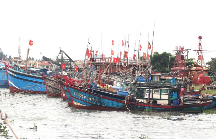 Ngư dân ở các xã, phường ven biển TP Huế luôn chấp hành nghiêm quy định về phòng, chống khai thác IUU.