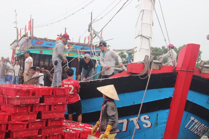 Nhờ thực hiện tốt công tác tuyên truyền, 100% tàu cá xa bờ ở TP Huế đã lắp đặt thiết bị giám sát hành trình (VMS).