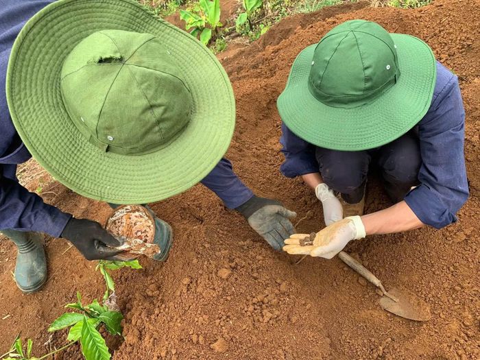 Cán bộ, chiến sĩ tiến hành cất bốc hài cốt một liệt sĩ tại xã Ea Bung (Ảnh Đội K51).