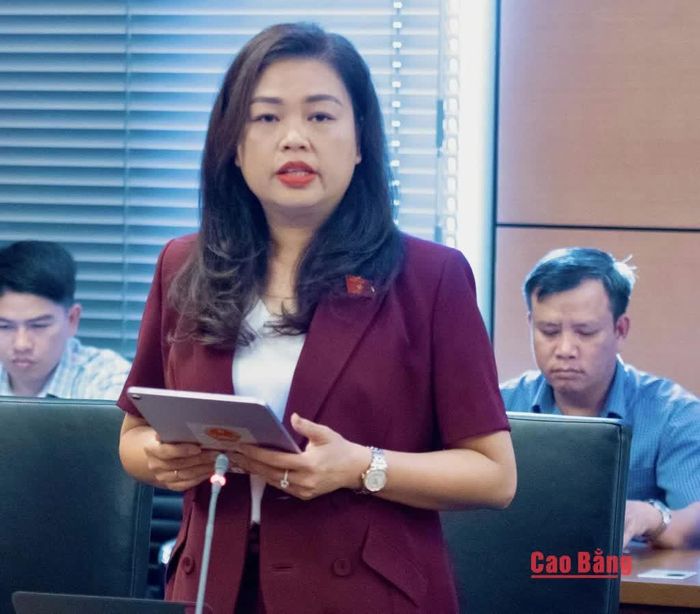 Đại biểu Đoàn Thị Lê An, Tỉnh ủy viên, Phó Chủ tịch Ủy ban Mặt trận Tổ quốc tỉnh, Chủ tịch Hội Liên hiệp Phụ nữ tỉnh phát biểu.