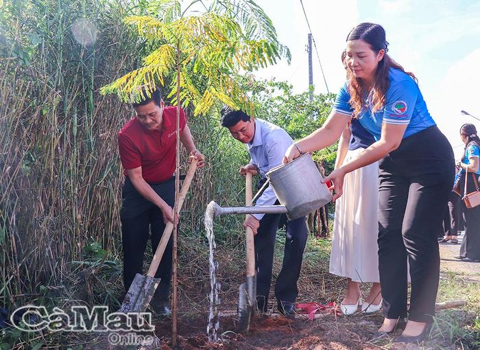 Các đồng chí lãnh đạo tỉnh, phường Tân Thành và Hội LHPN tỉnh tham gia trồng cây trên tuyến đường Hoàng Văn Thụ sau buổi lễ.