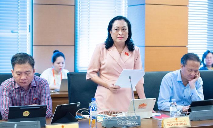 Đại biểu Trần Thị Hoa Ry, Phó Chủ tịch Hội đồng Dân tộc của Quốc hội,