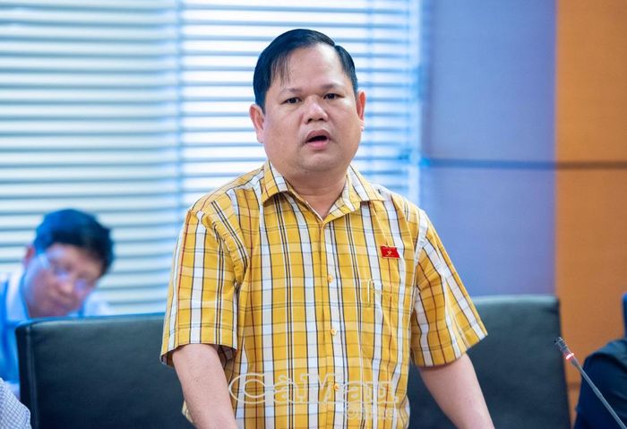 Đại biểu Nguyễn Duy Thanh, Phó Chủ tịch Hiệp hội Doanh nghiệp tỉnh Cà Mau, Uỷ viên Uỷ ban Kinh tế và Tài chính của Quốc hội,