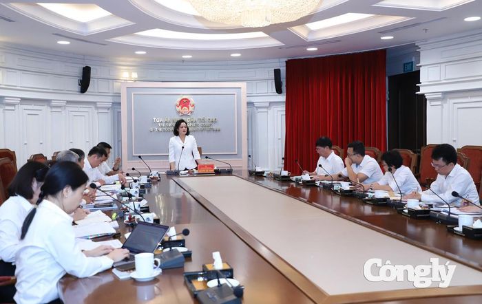 Phó Chánh án TANDTC Nguyễn Hải Trâm kết luận cuộc họp.