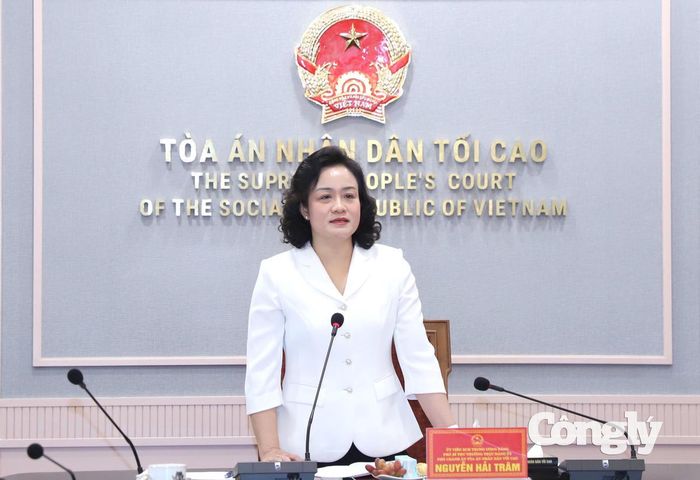 Đồng chí Nguyễn Hải Trâm, Ủy viên Ban Chấp hành Trung ương Đảng, Phó Bí thư Thường trực Đảng ủy, Phó Chánh án TANDTC chủ trì cuộc họp