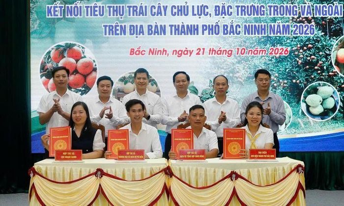 Ký thỏa thuận hợp tác tiêu thụ trái cây của Bắc Ninh. Ảnh: TTXTTM