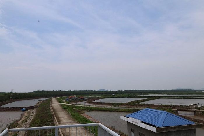 Việc vận hành các cống ngăn mặn xâm nhập hiệu quả giúp phục hồi một diện tích đất đáng kể để nhân dân đưa vào sản xuất nông nghiệp hiệu quả.