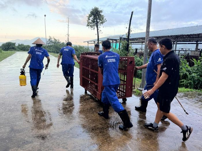 tại Trung tâm Cứu hộ Gấu Việt Nam ở Bạch Mã, Tp. Huế