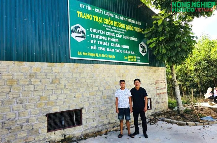 Mô hình nuôi chồn hương gia đình anh Bùi Lý Chiến được đầu tư tương đối quy mô, là một trong những mô hình tiên phong tại địa phương, phát huy hiệu quả tốt.