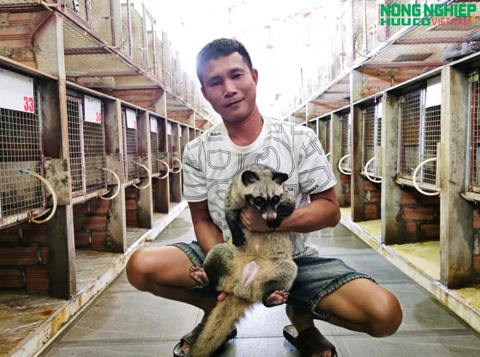Sau khi trừ các khoản chi phí, mô hình của gia đình anh Chiến mang lại nguồn thu khoảng 2 tỷ đồng mỗi năm.