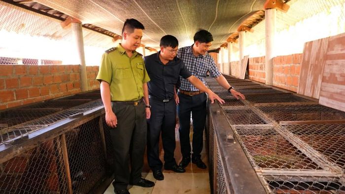 Mô hình nuôi cầy vòi hương tại Khe Tre gắn với bảo tồn động vật hoang dã.
