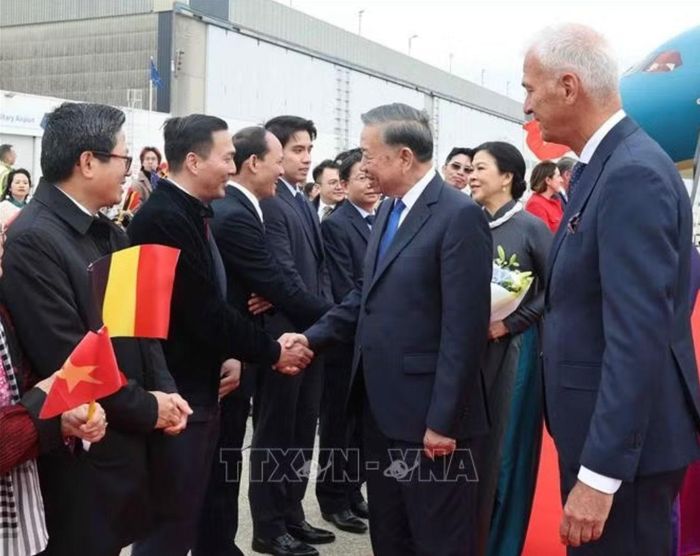 Cán bộ, nhân viên Đại sứ quán và cộng đồng người Việt Nam đón Tổng Bí thư, Chủ tịch nước Tô Lâm và Phu nhân Ngô Phương Ly tại Sân bay quân sự Melsbroek, Brussels. (Ảnh: Thống Nhất/TTXVN)