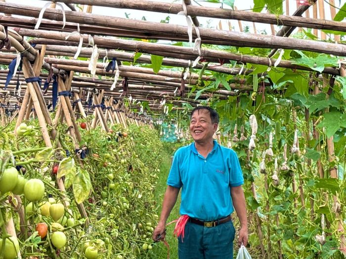 Một mô hình xen canh hiệu quả tại xã Liên Minh, Hà Nội. Ảnh: Kiều Thoan Thu