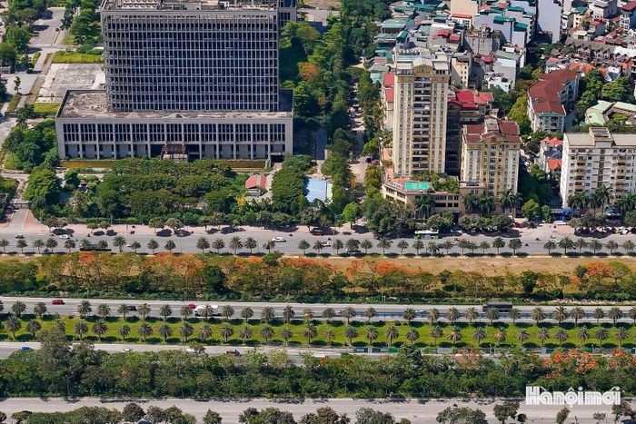 Xen kẽ là những hàng phượng, trúc anh đào, hoa dâm bụt cùng nhiều thảm cỏ, khóm hoa khác, tạo nên sự đa dạng về hình thái và sắc màu.