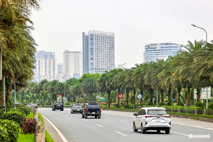 Giá trị của những hàng cây không chỉ nằm ở cảnh quan. Khi được chăm sóc, duy trì và phát triển phù hợp, cây xanh có thể góp phần giữ bụi, giảm tiếng ồn, điều hòa vi khí hậu và cải thiện chất lượng môi trường.