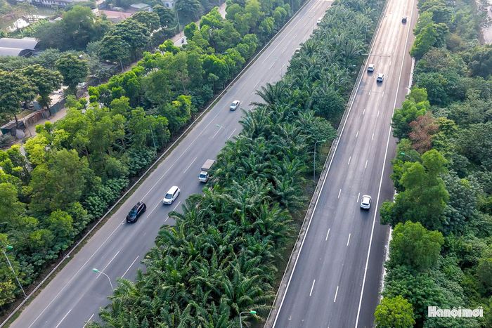 Những hàng cây nối tiếp nhau không chỉ định hình cảnh quan mà còn mang lại cảm giác dễ chịu cho người tham gia giao thông trên tuyến đường có quy mô từ 12 đến 16 làn xe.