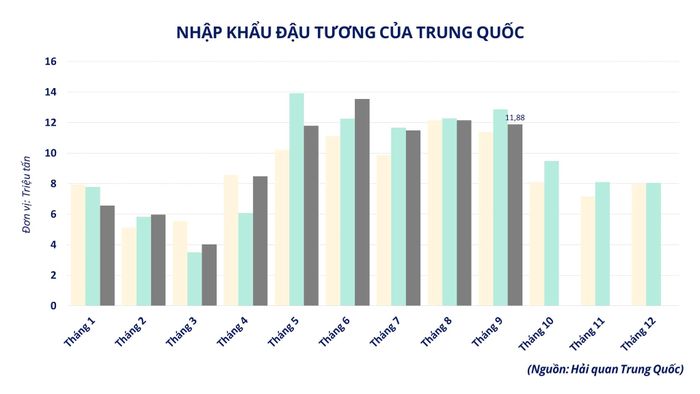 Nhập khẩu đậu tương của Trung Quốc. Nguồn: MXV