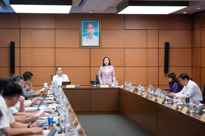 Quang cảnh phiên thảo luận tổ tại Đoàn thành phố Hồ Chí Minh. Ảnh: media.quochoi.vn