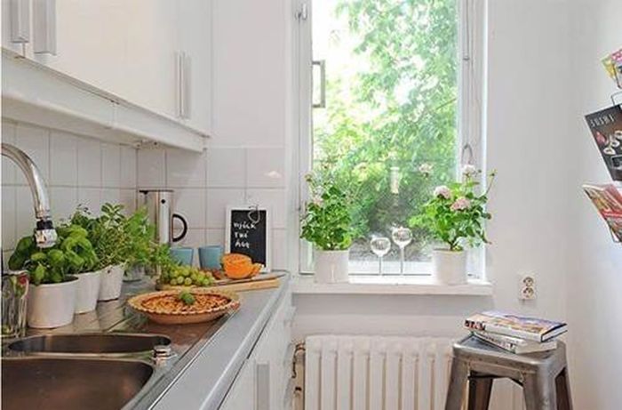 Hãy chọn lọc những loài cây phù hợp và bố trí một cách có chủ đích, tạo sự thông thoáng và hài hòa.