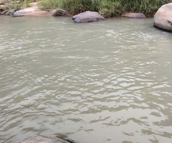 Nước chuyển màu lạ và có mùi bốc lên khó chịu.