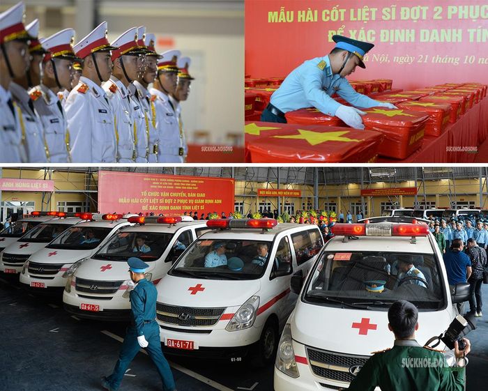 Đoàn xe cứu thương sẵn sàng vận chuyển mẫu sinh phẩm về Viện Pháp y Quân đội. Ảnh: Tuấn Anh