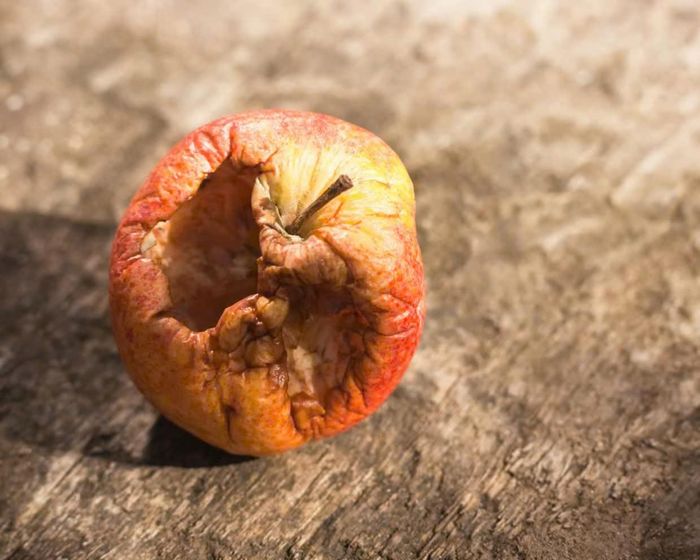  Theo tác giả, trong nhiều trường hợp, chúng ta bị ảnh hưởng bởi những gì người khác đang làm. Ảnh: Cultura Creative/Alamy.