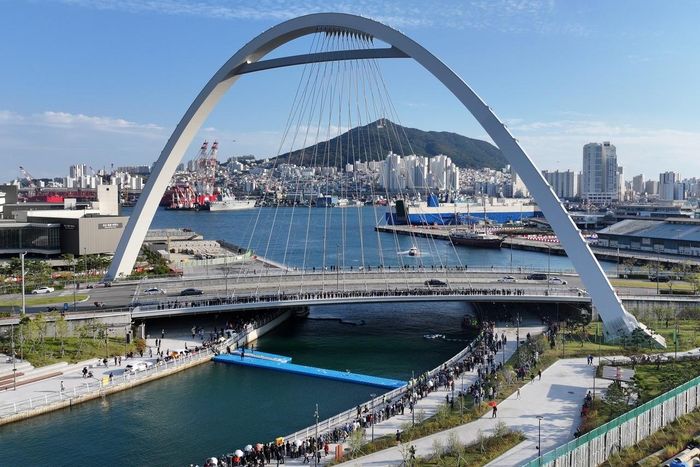  Người dân tập trung tại Công viên ven biển Cảng Bắc ở Busan, nơi cá mập xám cái Bukang-i được thả về biển ngày 21/10. Ảnh: Yonhap.