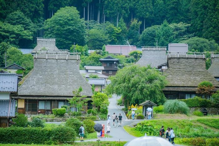 Kayabuki no Sato là một trong những ngôi làng mái tranh tiêu biểu nhất của đất nước Mặt trời mọc. Ảnh: Xuân Giao - PV TTXVN tại Nhật Bản