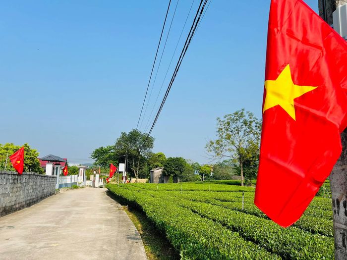 Năm vùng chè tiêu biểu: Tân Cương, La Bằng, Vô Tranh, Đồng Hỷ và Đồng Phúc sẵn sàng kể chuyện trà, đón khách tới với Festival