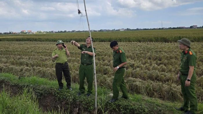 Toàn tỉnh đã xử lý hơn 30 vụ vi phạm hành chính về hành vi mua bán, vận chuyển, nuôi nhốt chim hoang dã. (Ảnh: Công an Ninh Bình)