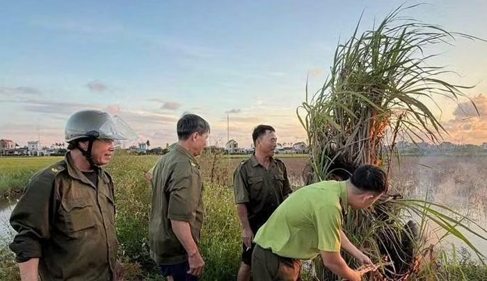 Thành lập 4 tổ công tác phối hợp lực lượng kiểm lâm tổ chức tuần tra lưu động. (Ảnh: Công an Ninh Bình)