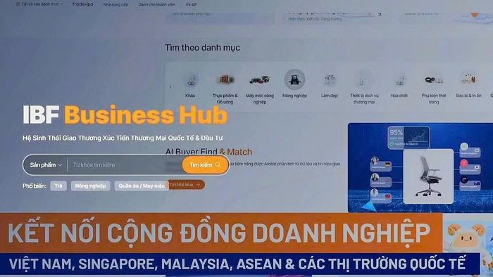 Nền tảng kết nối doanh nghiệp trên môi trường số IBF Business Hub. (Ảnh: IBF Vietnam-Singapore)