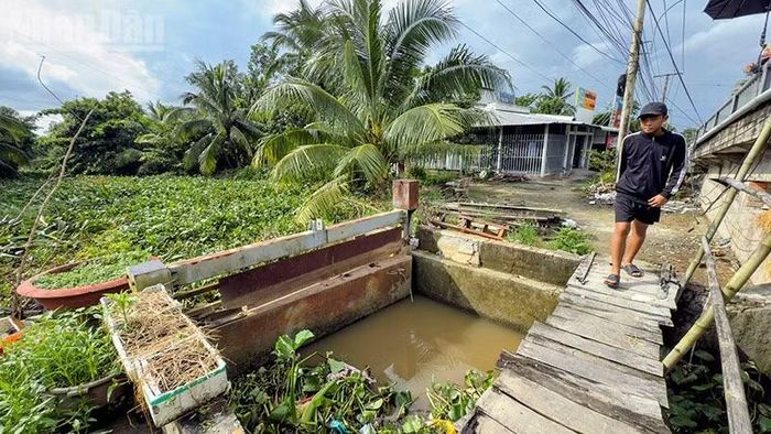 Cống Đồn 2 điều tiết không hợp lý dẫn đến thiệt hại cho người dân. (Ảnh: BÁ DŨNG)