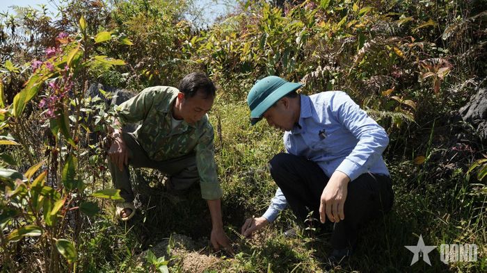 Đồng chí Sùng Mí Nô (bên phải), Chủ tịch UBND xã Sơn Vĩ kiểm tra mô hình trồng cây ăn quả của người dân tại cơ sở. 