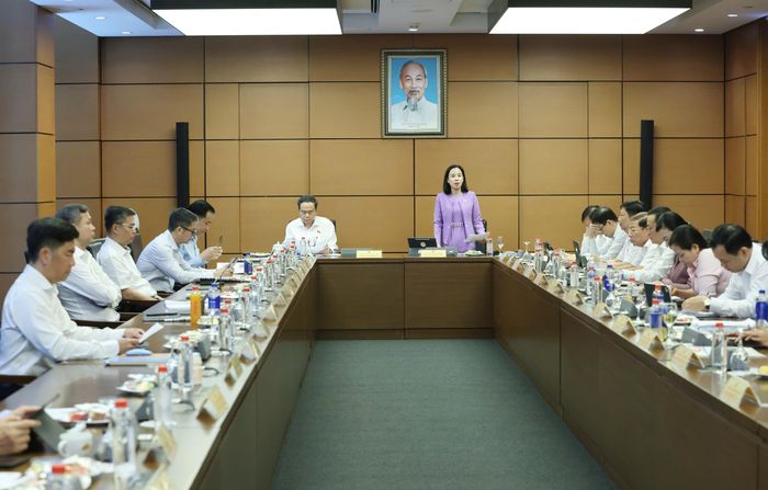  Phiên thảo luận tổ ĐB Quốc hội TPHCM. Ảnh: QUANG PHÚC 
