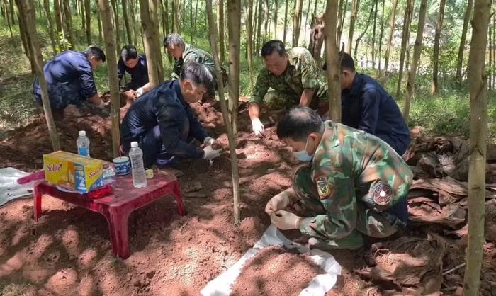 Lực lượng chức năng tỉnh Quảng Trị quy tập, cất bốc hài cốt liệt sĩ.
