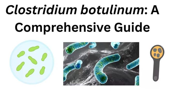 Vi khuẩn Clostridium botulinum được thuần hóa để có thể kiểm soát cách mà tộc tố tác động đến chúng ta.