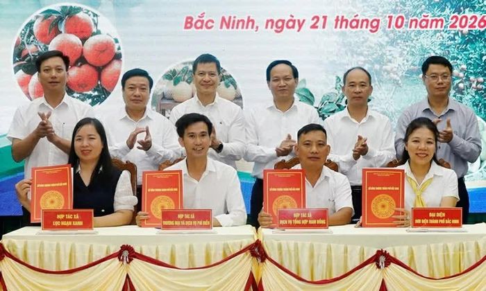 Các đại biểu chứng kiến nghi thức ký kết biên bản thỏa thuận, hợp tác tiêu thụ trái cây chủ lực, đặc trưng thành phố Bắc Ninh năm 2026. (Nguồn: BTC)
