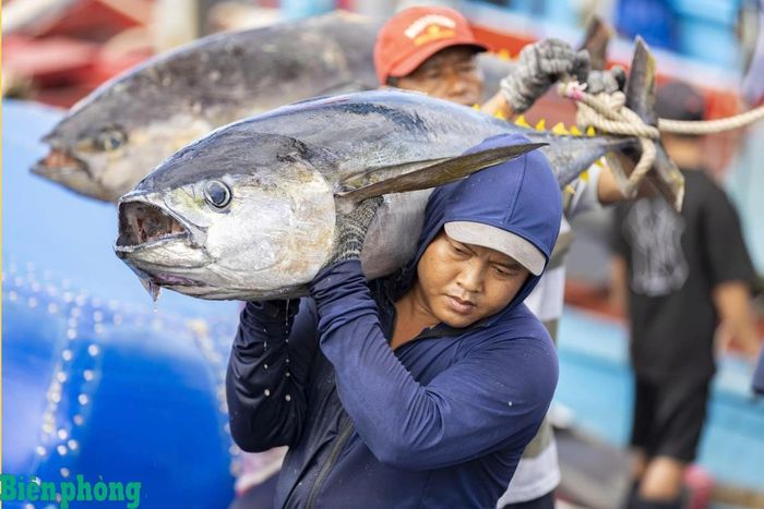 Ngư dân Đắk Lắk với một vụ mùa bội thu. Ảnh: Huỳnh Lê Viễn Duy
