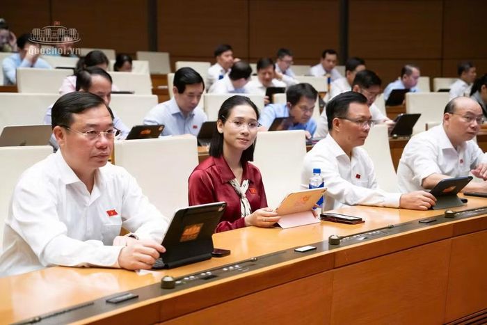 Các đại biểu làm việc tại hội trường. Ảnh: QH