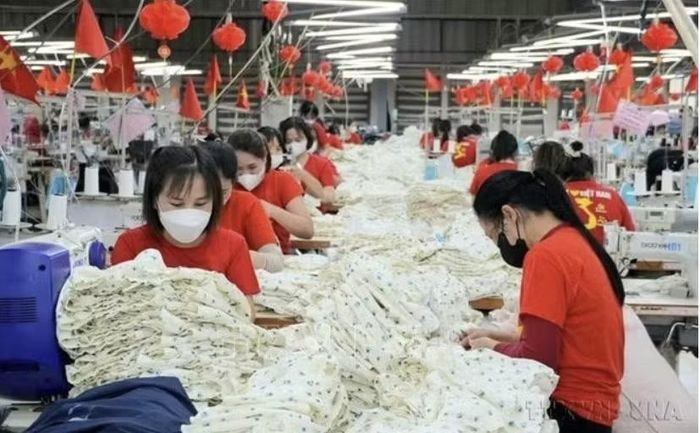 Việt Nam xuất khẩu sang Bỉ nhiều mặt hàng chủ lực, trong đó có giày dép, thiết bị máy tính, hàng dệt may, hàng thủy sản... Ảnh minh họa: Đồng Thúy/TTXVN.