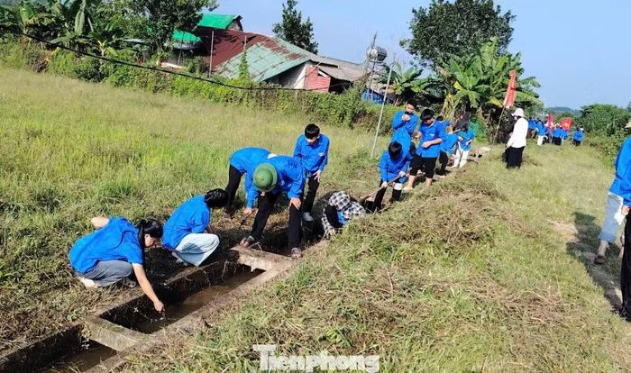  Với tinh thần xung kích, trách nhiệm, các lực lượng tập trung xử lý những vị trí bị bồi lấp, phát quang khu vực lòng mương, góp phần nâng cao hiệu quả hoạt động của công trình thủy lợi﻿, đáp ứng nhu cầu tưới tiêu của người dân. 