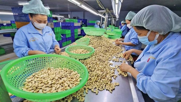 Nhiều thị trường đang cập nhật các tiêu chuẩn về chất lượng và an toàn thực phẩm đối với nông sản nhập khẩu.