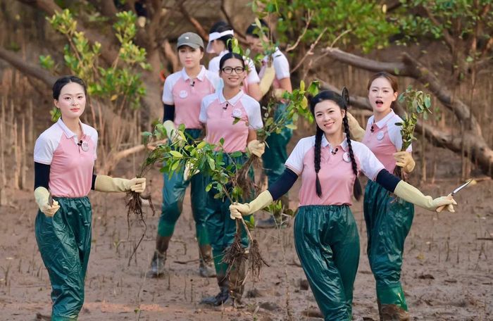 Trong phần thi Đại sứ Du lịch và Môi trường, Hà Phương cùng các thí sinh trồng cây tại rừng ngập mặn Bàng La, TP Hải Phòng.