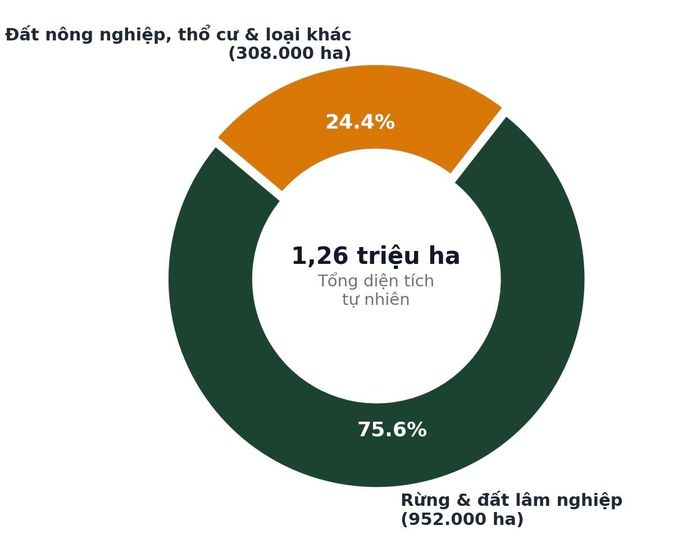Cơ cấu đất đai tại tỉnh Quảng Trị.