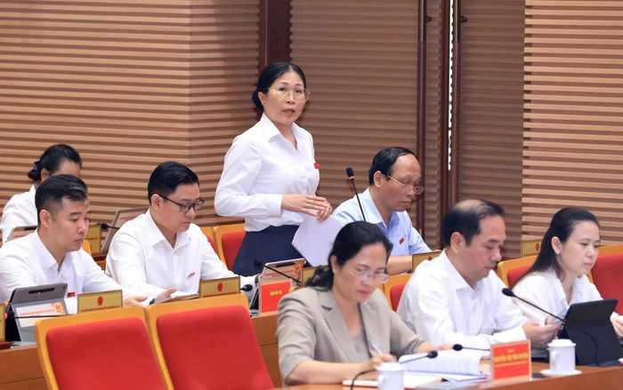 Đại biểu HĐND TP Hà Nội Nguyễn Thị Thanh Thủy. Ảnh: Lê Hải