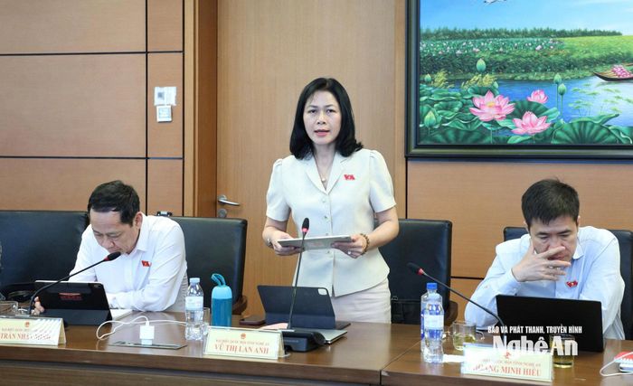 Đại biểu Vũ Thị Lan Anh - Ủy viên chuyên trách Ủy ban Công tác đại biểu của Quốc hội phát biểu thảo luận. Ảnh: Khánh Duy